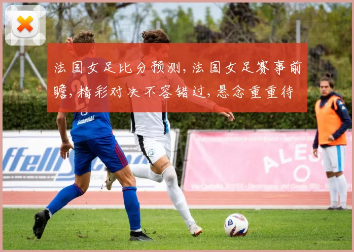 法国女足比分预测,法国女足赛事前瞻,精彩对决不容错过,悬念重重待揭晓,拭目以待